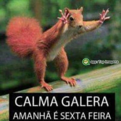 jurema21234's profile picture. 