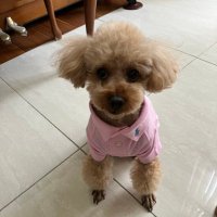 ふるかわ　けんいち(古川健一) (@ken_furukawa55) 's Twitter Profile Photo