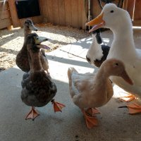 jon (@jdlee) 's Twitter Profile