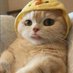 JERMAINE (@jeremypubg12) Twitter profile photo JERMAINE (@jeremypubg12) Twitter profile photo