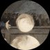 s (@1siwe) Twitter profile photo s (@1siwe) Twitter profile photo