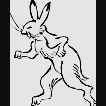 nii_orselv's profile picture. 