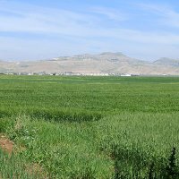 Muhammed (@mirzebegii) 's Twitter Profile Photo