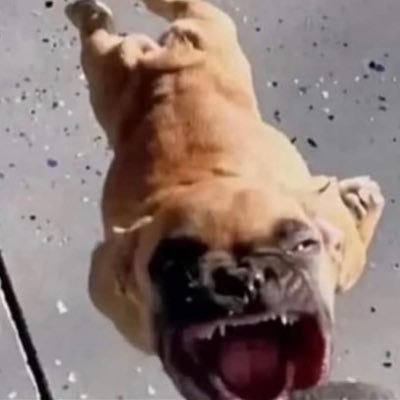 possiblyafish2's profile picture. i don't use this