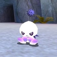 (๐ชถ๐ค๐ช๐๐๐๐ฟ๐๐) Nap (@napjpeg) 's Twitter Profile