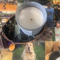 Just a guy from MN (@nick_realsports) 's Twitter Profile Photo Just a guy from MN (@nick_realsports) 's Twitter Profile Photo