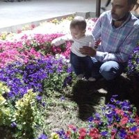 Rasool maktoobian (@rmaktoobian) 's Twitter Profile