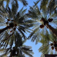 جود🪻 (@joud_is) 's Twitter Profile