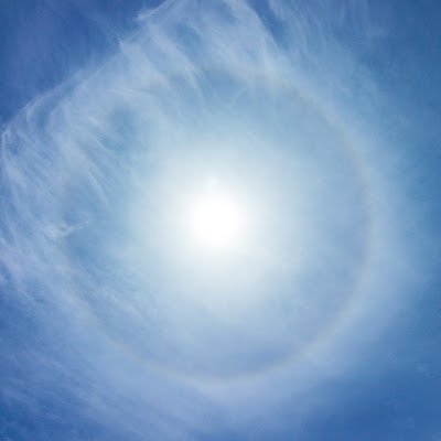 _tamanaru's profile picture. 