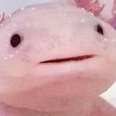 A-X-O-L-O-T-L (@axolotl_offcl) 's Twitter Profile