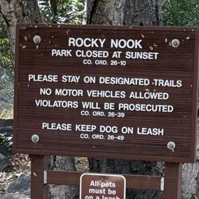 iced7tea's profile picture. 