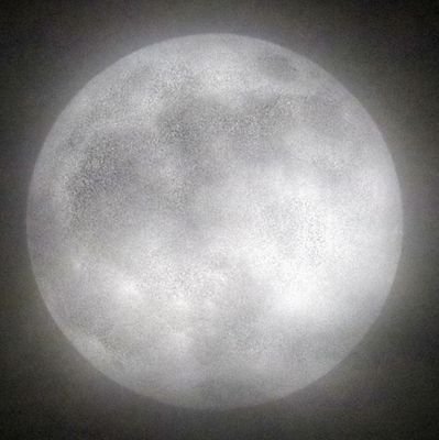 somnuzzzz313's profile picture. LFG