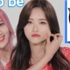 joella 🐺 || kpop accさんのプロフィール画像