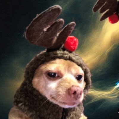 HsHatesYou's profile picture. Classified