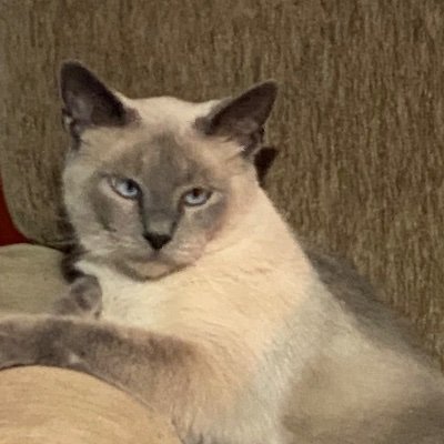 toolfloydmix's profile picture. far right, far left: same shit. you can drop the fake affront pompous ass. heard it all before