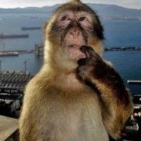 bug_fappy (@bug_atnight) 's Twitter Profile Photo bug_fappy (@bug_atnight) 's Twitter Profile Photo