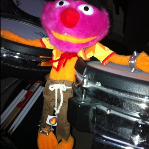 nigglynige62's profile picture. 