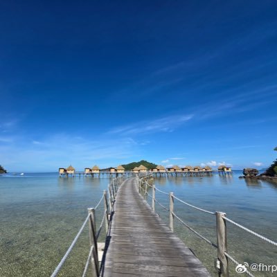 Zbytnt's profile picture. Bit