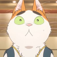 Liam Dempsey (@shymander) 's Twitter Profile