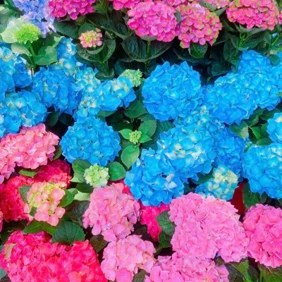 くらし！さんのプロフィール画像
