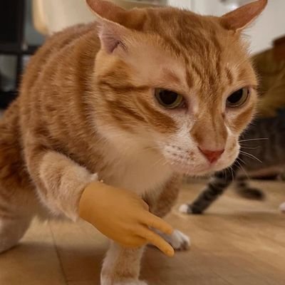 aaaaaahmaaaaaa's profile picture. 