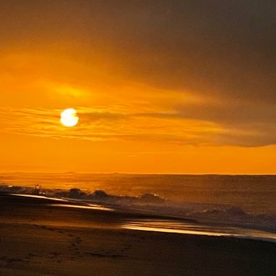 sairohitv's profile picture. 