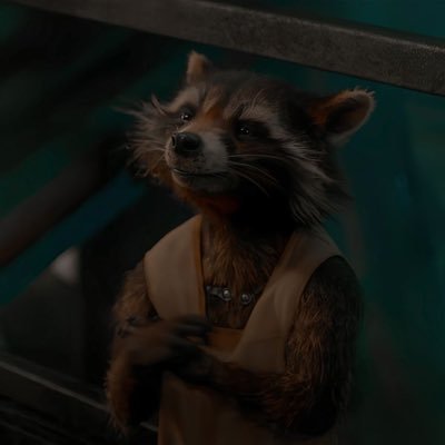 rocket raccoon enjoyer, plushie humper, armpit enthusiast, overall degen 💕