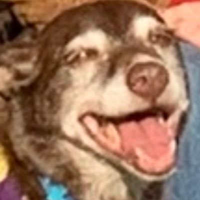 NotFrankZimmers's profile picture. WIU'20 @k_ohhhhh