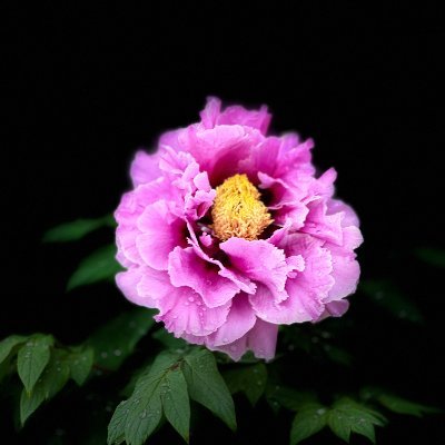 18macbug's profile picture. 