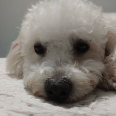 jv199999's profile picture. .