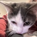 Ashley Schutt - @SchuttAshley - Twitter