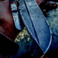 Tetocaller (@tetoteller41) 's Twitter Profile