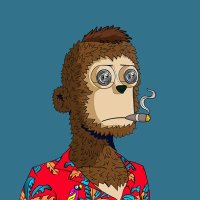 Radical IQ ๐โบ (@radicaloniszn) 's Twitter Profile