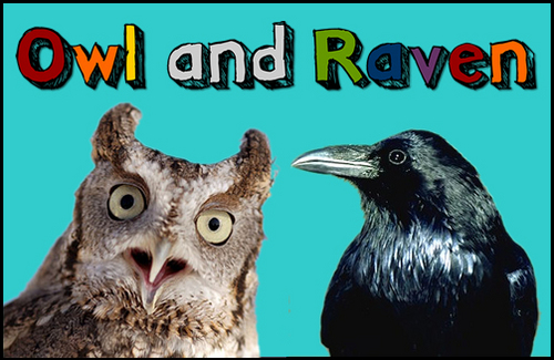 OwlLovesRaven's profile picture. A cozy, collectively-run community space in Northampton, MA. Housing the Owl & Raven game design coöp and other friendly communities!