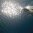 SANDRA PICO GOMEZ - @andunaik - Twitter