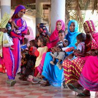 UNDP Eritrea (@undperitrea) 's Twitter Profile