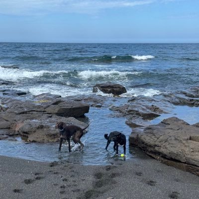 oliviaakerr1's profile picture. BCM & INTS Student 🌮 UOW