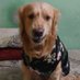 Mr. Ichy (@itsichy) Twitter profile photo Mr. Ichy (@itsichy) Twitter profile photo