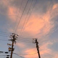 m (@m0y2a) 's Twitter Profile