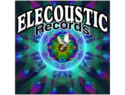 Elecoustic Records specializes in the promotion of Americana, Blues and Rock & Roll music.