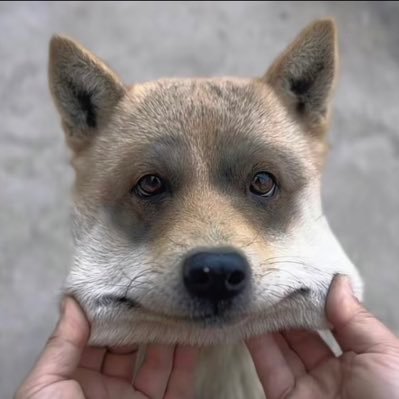 lzlz60521's profile picture. 