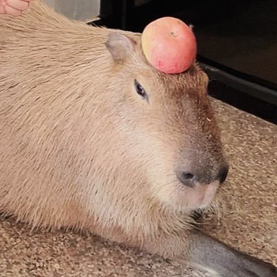 Huluhulubo's profile picture. 