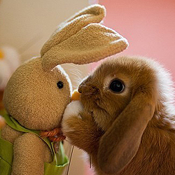 hellowhowru's profile picture. Free web & gamedev assets