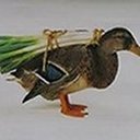 Antoine Sanchez - @Flying_Leek - Twitter