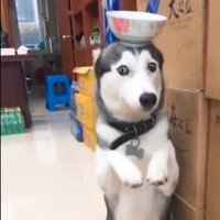 定制一比一等身硅胶娃娃 (@crypto__mrk) 's Twitter Profile