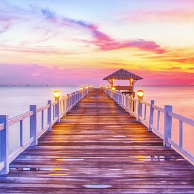 alstroemeria31's profile picture. 