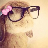𐙚 (@exist4ela) 's Twitter Profile