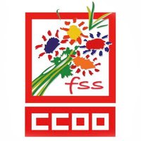 FSS-CCOO (@fssccoo) 's Twitter Profile