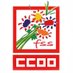 FSS-CCOO (@fssccoo) Twitter profile photo FSS-CCOO (@fssccoo) Twitter profile photo
