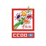 fsasturiasccoo's profile picture. Federación de Sanidad y Sectores Sociosanitarios de CCOO de Asturias